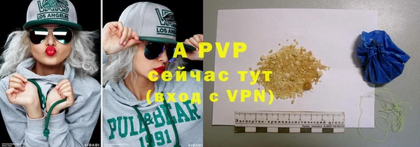 Альфа ПВП Горняк