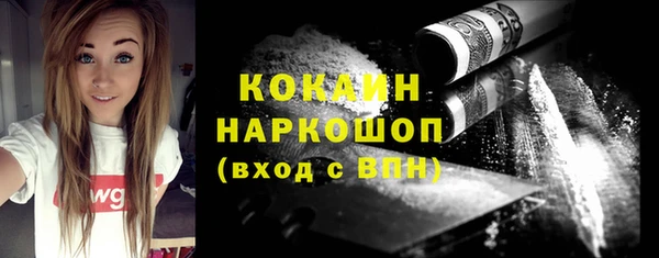 Альфа ПВП Горняк