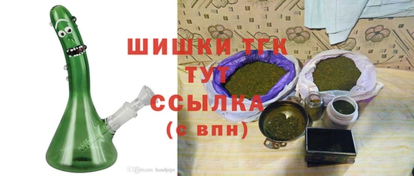 Альфа ПВП Горняк