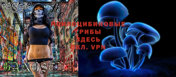 MDMA Горнозаводск