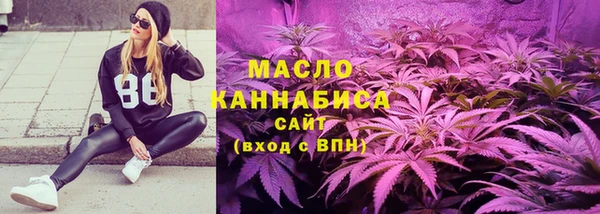 Альфа ПВП Горняк