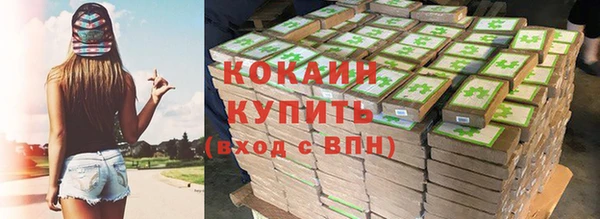 Альфа ПВП Горняк