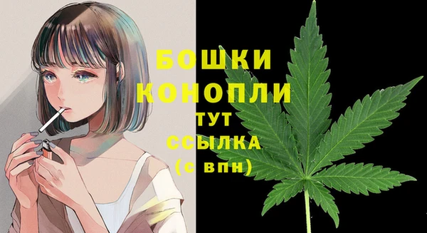 Альфа ПВП Горняк
