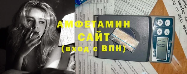 Альфа ПВП Горняк